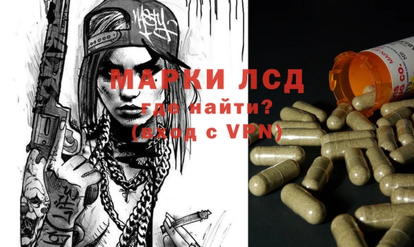 гашик Балахна