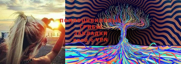 ECSTASY Баксан