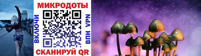 Галлюциногенные грибы Cubensis купить наркоту Ладушкин